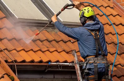 Démoussage et hydrofuge de toiture à Baudreix